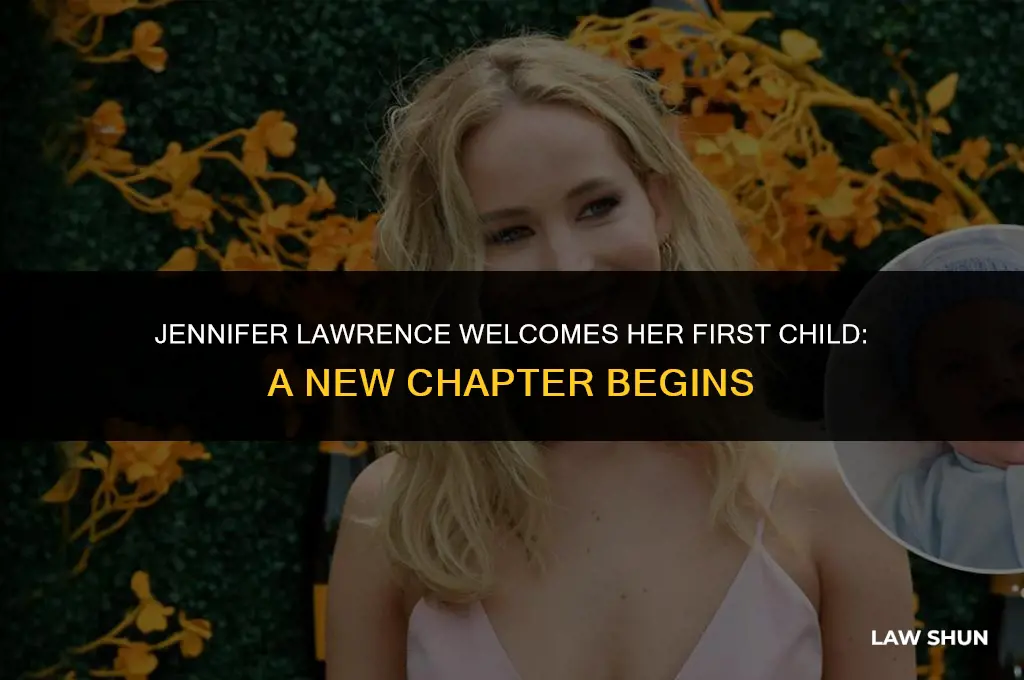 did j law have a baby