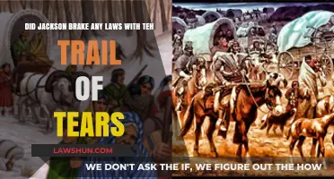 Trail of Tears: Did Jackson's Actions Violate Federal Laws?
