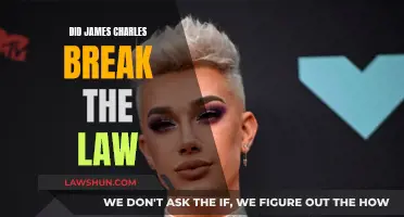 James Charles: Did He Cross Legal Boundaries?