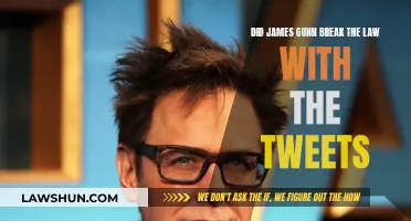 James Gunn's Tweets: Did He Cross Legal Lines?