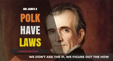 Exploring the Legislative Legacy of James K. Polk: A Deep Dive