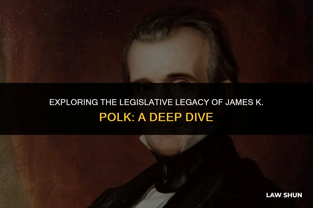 did james k polk have laws