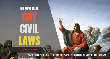 Jesus and Civil Law: A Sinless Life?