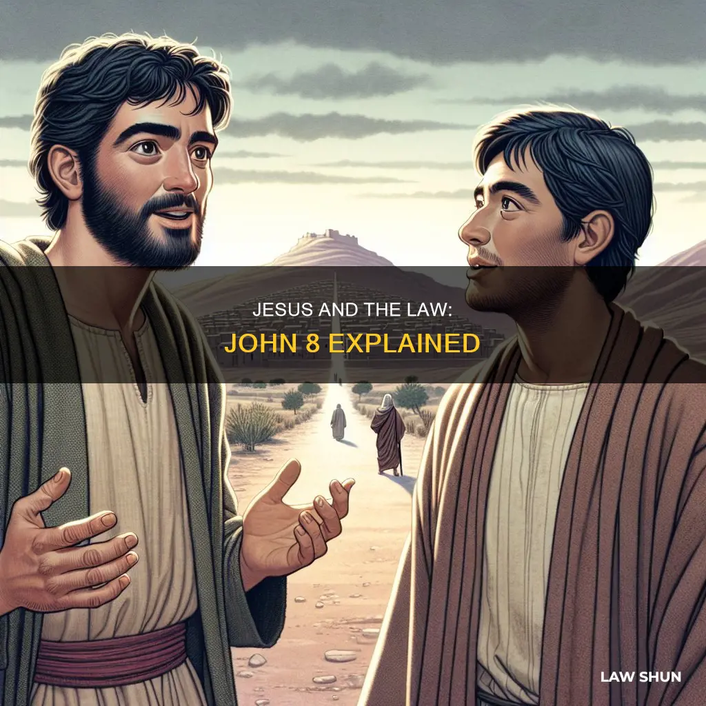 did jesus break the law john 8