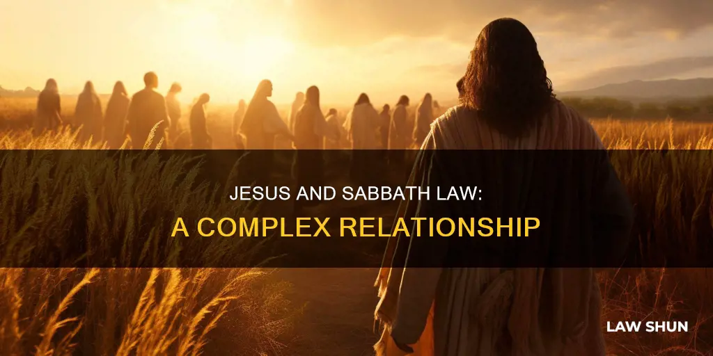 did jesus break the law of the sabbath