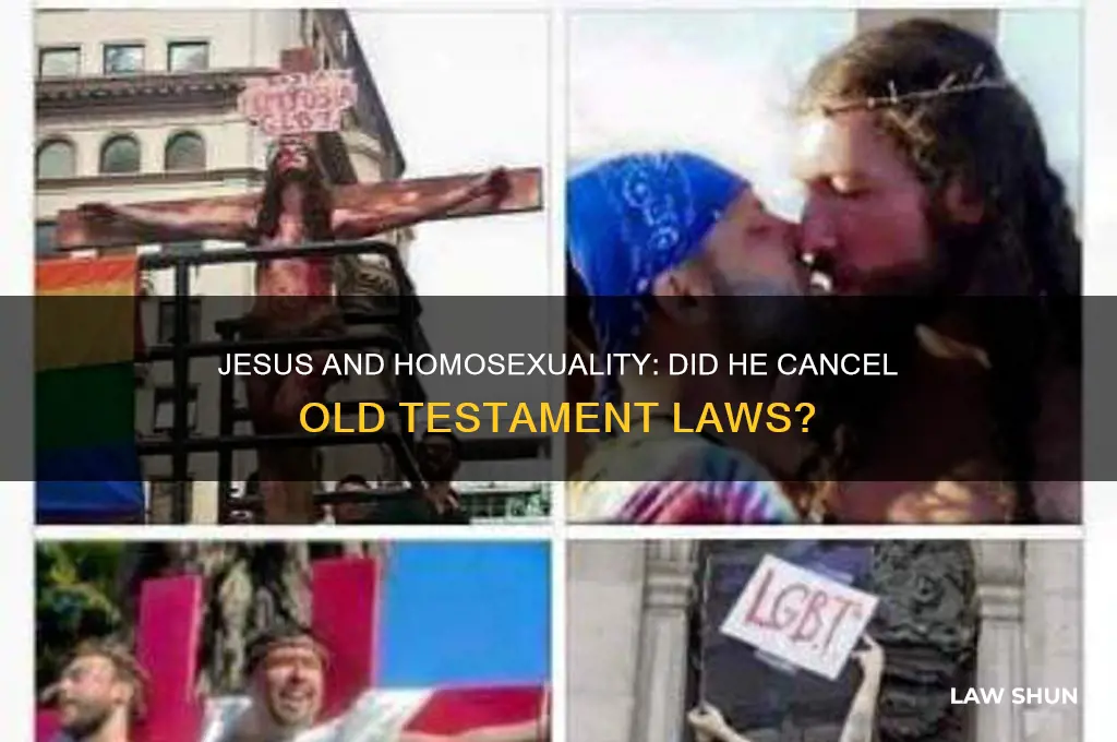 did jesus cancel the law regarding homosexuality