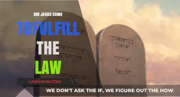 Did Jesus Fulfill the Law? Exploring His Mission and Teachings