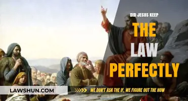 Did Jesus Keep the Law Perfectly? A Deep Dive into His Teachings and Actions
