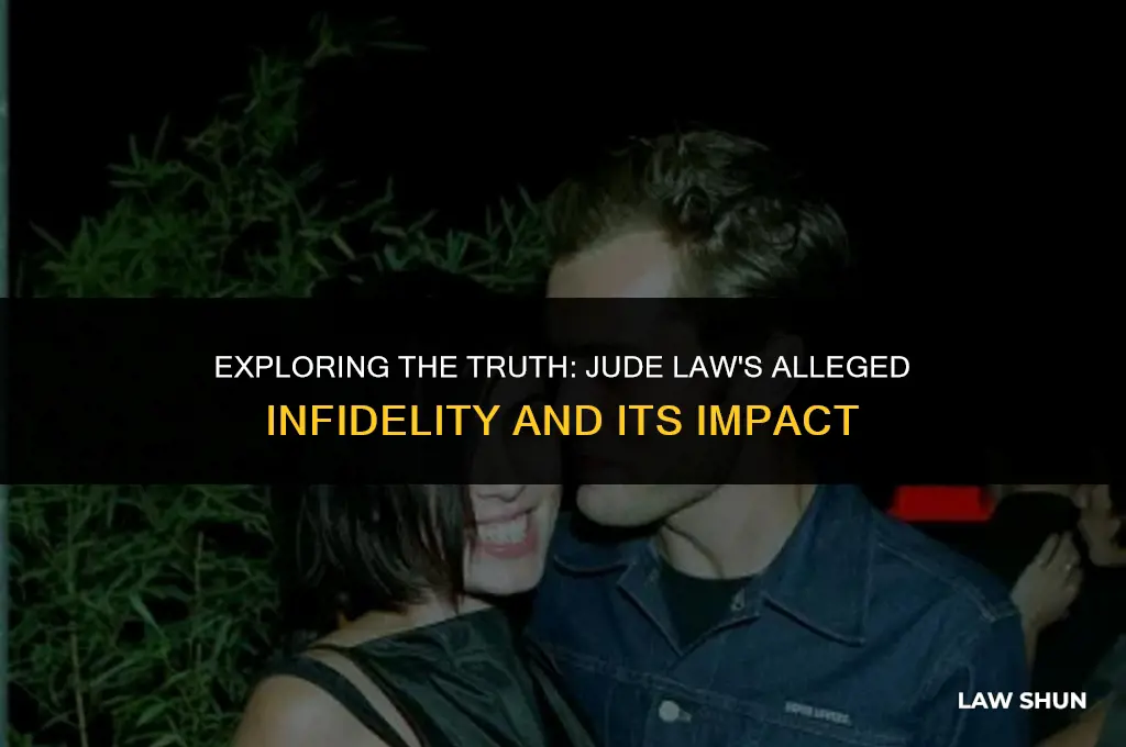 did jude law cheat on sadie
