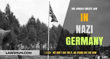 Judicial Law-Making in Nazi Germany: A Historical Analysis