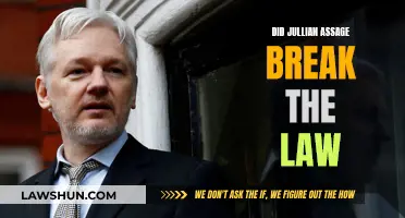 Assange's Legal Battle: Did He Break the Law?