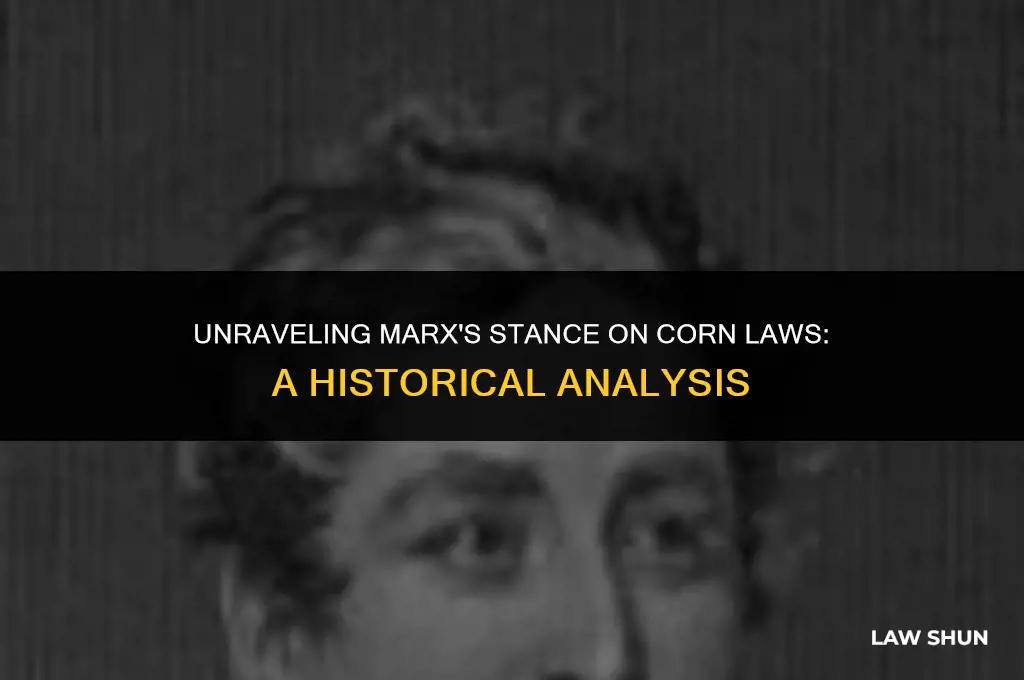 did karl marx support corn laws