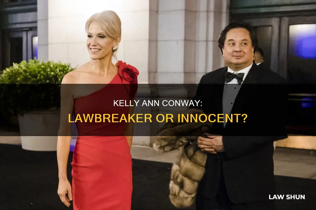 did kelly ann conway break the law