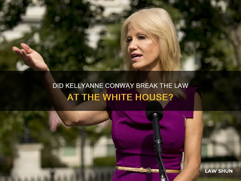 did kellyanne conway break the law on steps of whitehouse