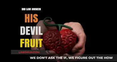 Awakening the Devil Fruit: Law's Transformation Unveiled