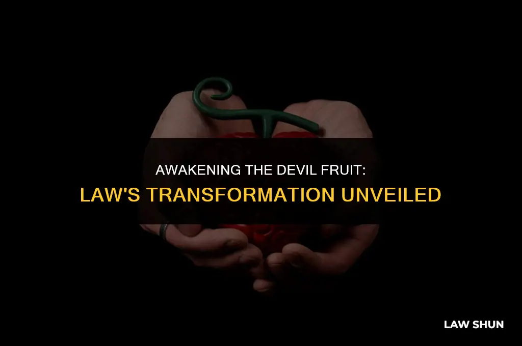 did law awaken his devil fruit