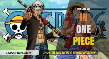 The Demise of Law in One Piece: A Critical Analysis