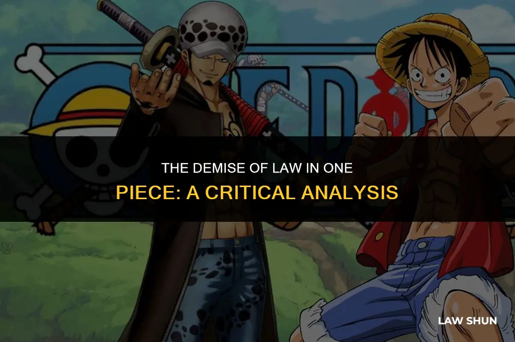 did law die in one piece