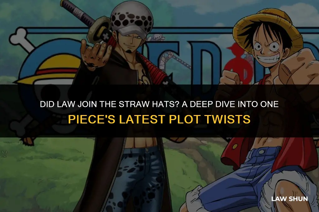 did law join the straw hats