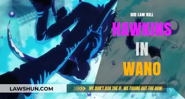 Did Law's Actions Lead to Hawkins' Demise in Wano?