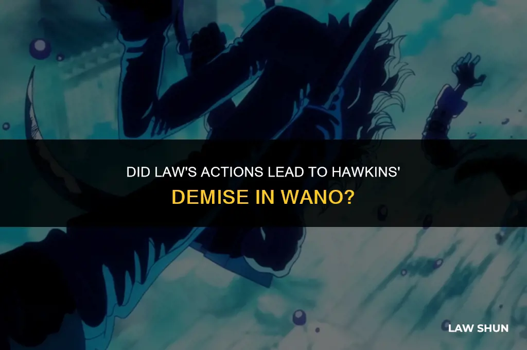 did law kill hawkins in wano
