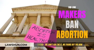 The Lawmakers' Abortion Ban: A Controversial Move