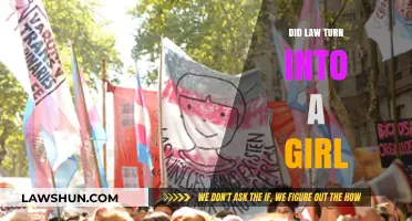 Transformative Justice: Exploring Gender Identity in Legal Realms