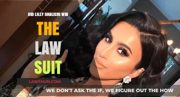 Lilly Ghalichi Lawsuit Verdict: Did She Win the Legal Battle?