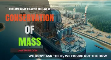 Lomonosov's Legacy: Did He Uncover the Law of Conservation of Mass?