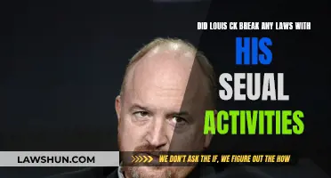 Louis CK's Sexual Activities: Legal or Not?