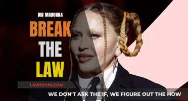 Madonna's Legal Troubles: Did She Cross the Line?