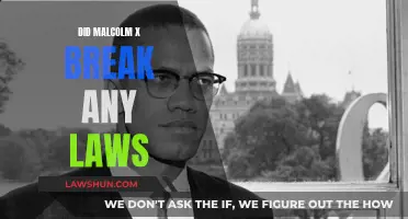 Malcolm X: A Law-Abiding Revolutionary?