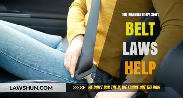Buckling Up: The Impact of Mandatory Seat Belt Laws Revealed