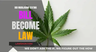 Marijuana Testing Bill: Law or Not?