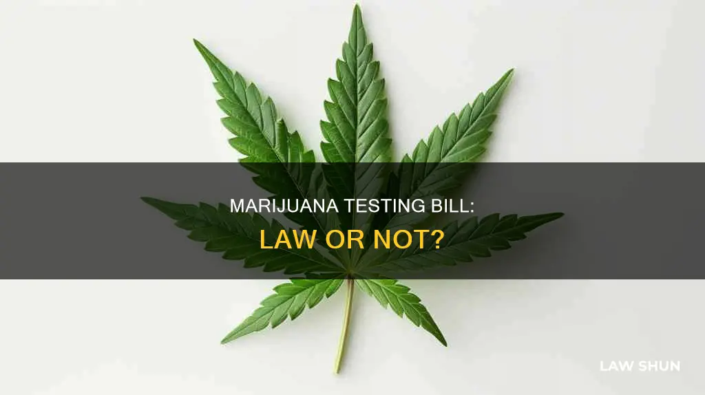 did marijuana testing bill become law