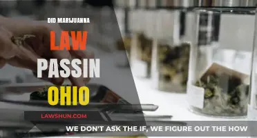Ohio Marijuana Law Update: Did Legalization Pass in the State?