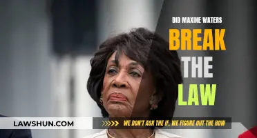 Maxine Waters: Lawbreaker or Political Target?