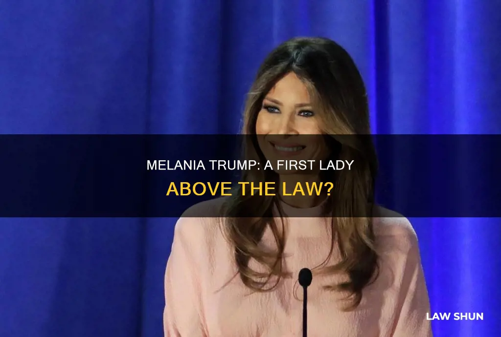 did melania break law