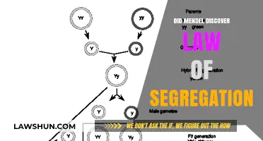 Unraveling Genetics: Mendel's Law of Segregation Explained