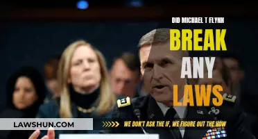 Michael Flynn: Lawbreaker or Political Victim?