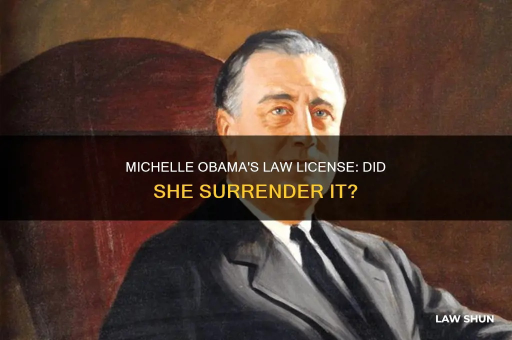did michelle obama have to give up her law licence
