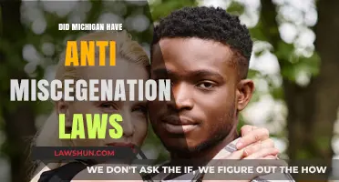 Michigan's Anti-Miscegenation Laws: A Historical Perspective