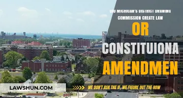 Michigan's District Drawing: Law or Amendment?