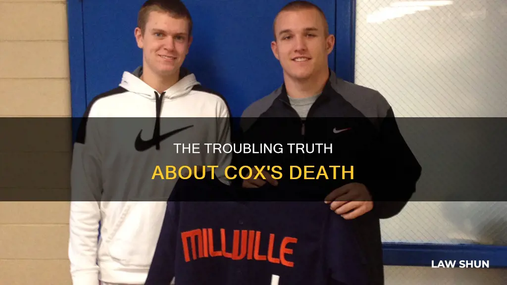 did mike trout