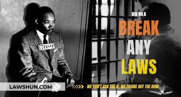 Did Martin Luther King Jr. Break Any Laws?