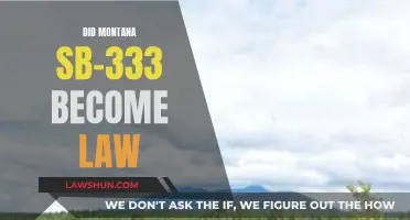 Montana's SB-333: Law or Not?