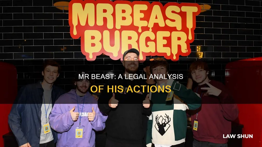 did mr beast break the law