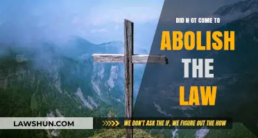 Did Not Come to Abolish the Law: Unraveling the Purpose and Fulfillment