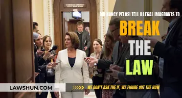 Pelosi's Alleged Advice to Immigrants: Break the Law?