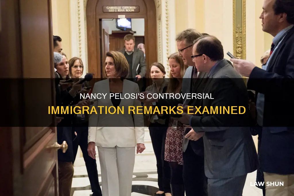 did nancy pelosisay illegal immigrants nid not break the law